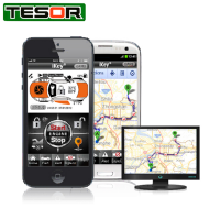 Smartphone Remote and Cartrack Security GPS Tracking System